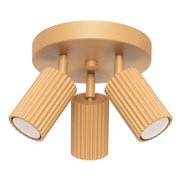 Spotlight KARBON 3xGU10/10W/230V guld