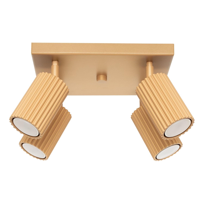 Spotlight KARBON 4xGU10/10W/230V guld
