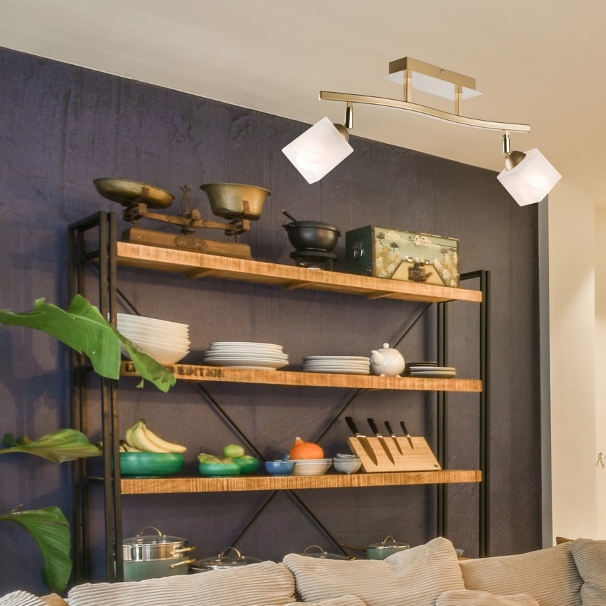 Spotlight KLARA 2xE14/40W/230V guld