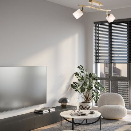 Spotlight KLARA 2xE14/40W/230V guld