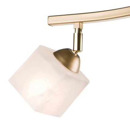 Spotlight KLARA 2xE14/40W/230V guld