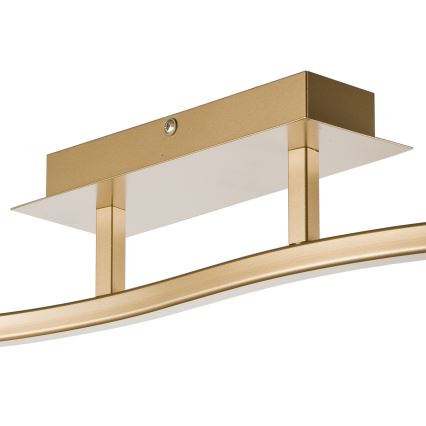 Spotlight KLARA 2xE14/40W/230V guld