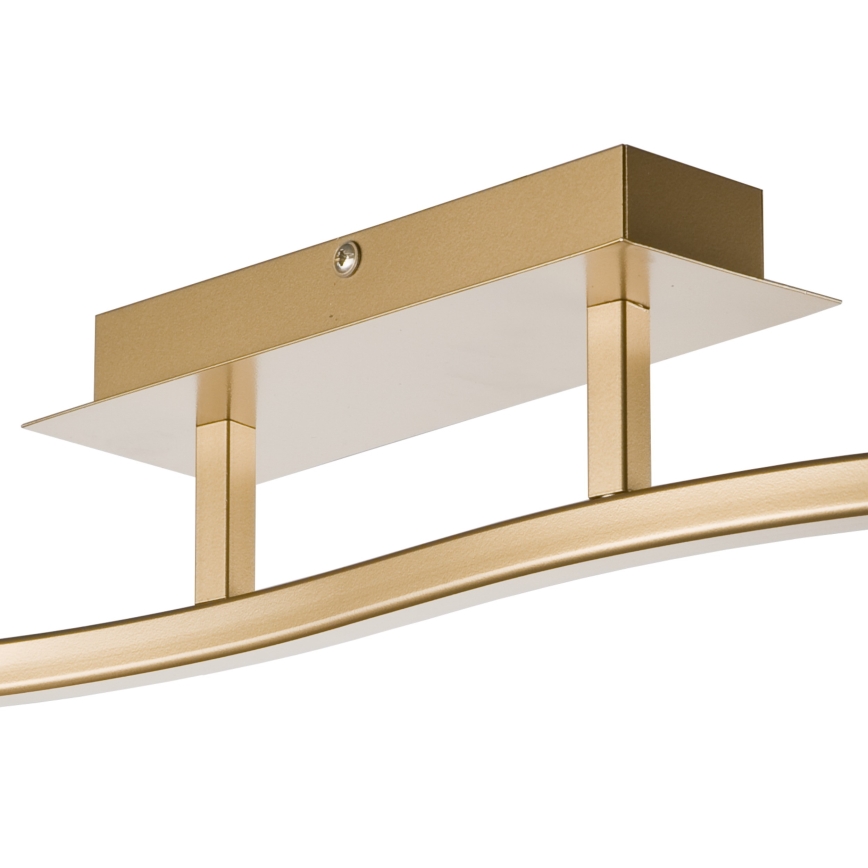 Spotlight KLARA 2xE14/40W/230V guld