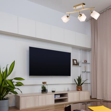 Spotlight KLARA 3xE14/40W/230V guld