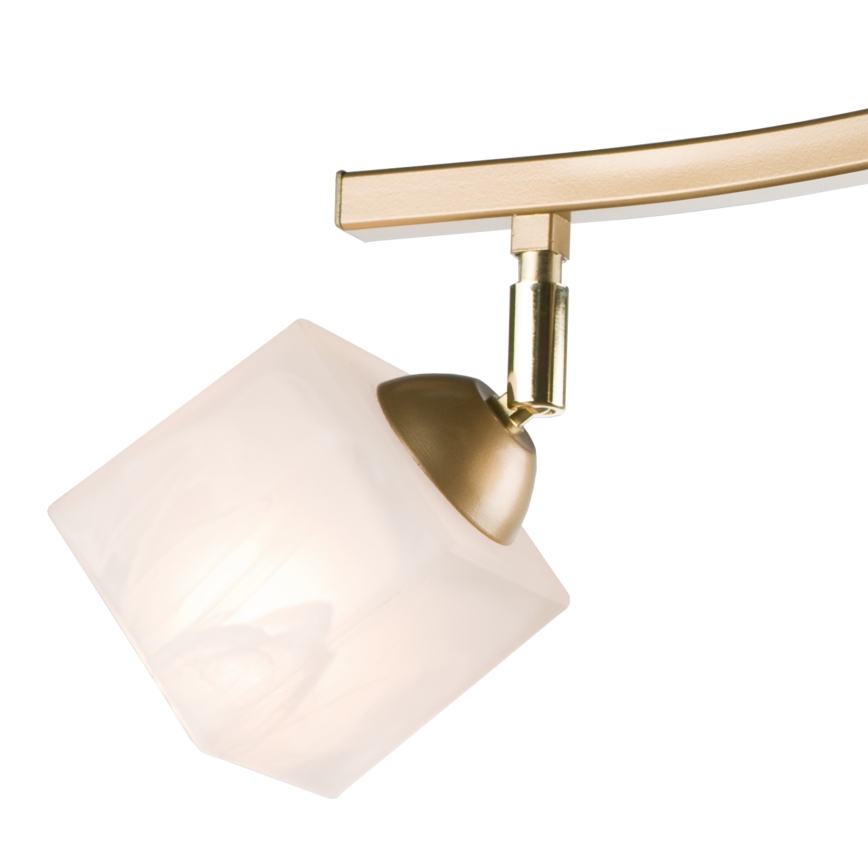 Spotlight KLARA 3xE14/40W/230V guld