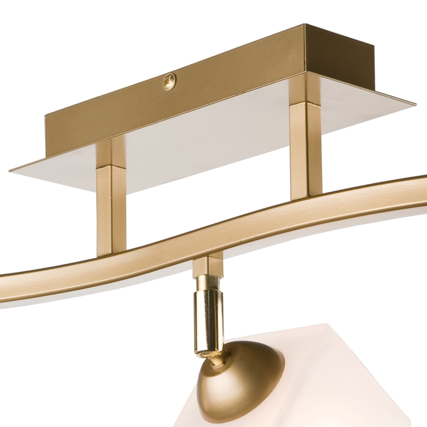 Spotlight KLARA 3xE14/40W/230V guld