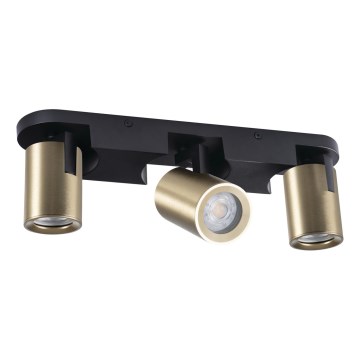 Spotlight LAURIN 3xGU10/10W/230V mässing/svart