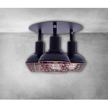 Spotlight LOGAN 3xE14/40W/230V