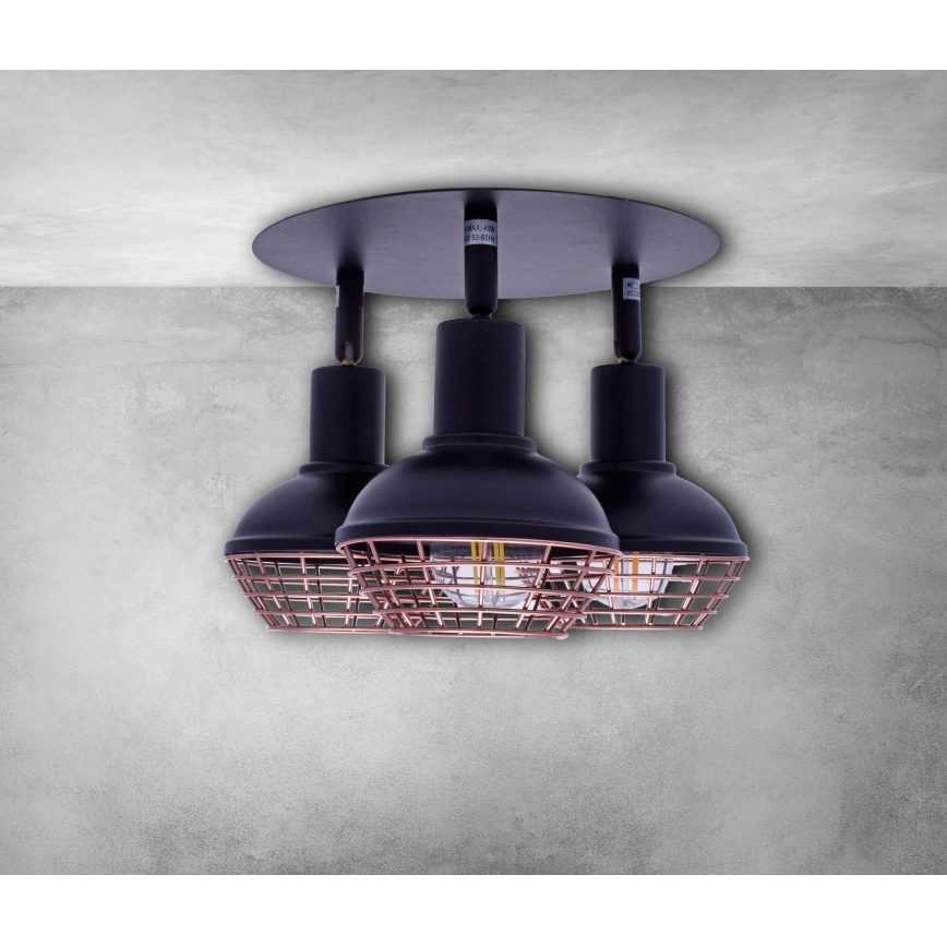 Spotlight LOGAN 3xE14/40W/230V