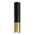 Spotlight LOOPEZ 1xGU10/10W/230V svart/guld