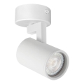 Spotlight LYNX 1xGU10/10W/230V vit
