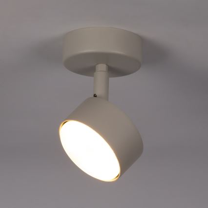 Spotlight NEMO 1xGX53/12W/230V beige