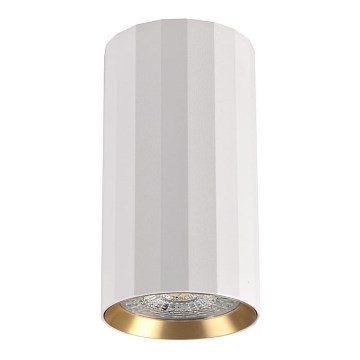 Spotlight NICEA 1xGU10/10W/230V vit