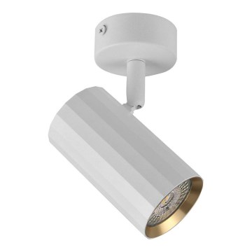 Spotlight NICEA 1xGU10/10W/230V vit