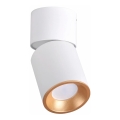 Spotlight NIXA 1xGU10/10W/230V vit/guld