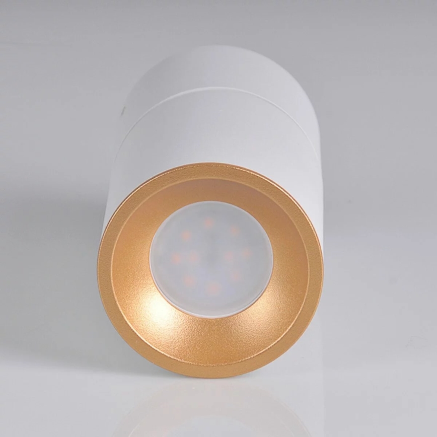 Spotlight NIXA 1xGU10/10W/230V vit/guld