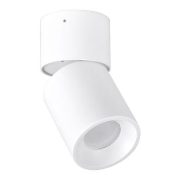 Spotlight NIXA 1xGU10/10W/230V vit