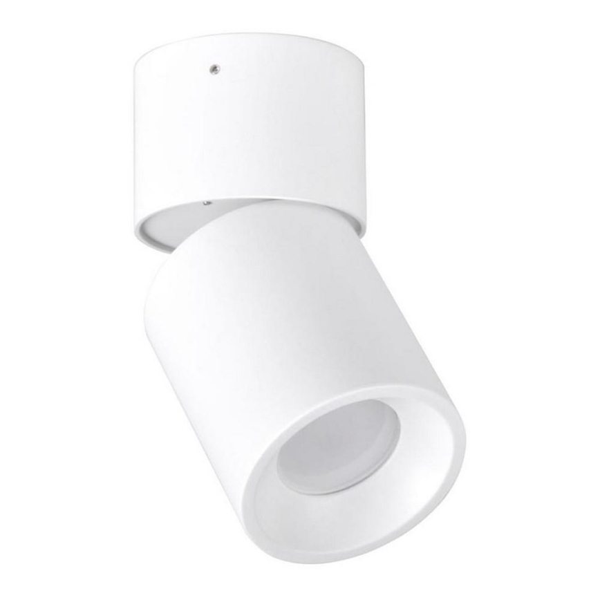 Spotlight NIXA 1xGU10/10W/230V vit