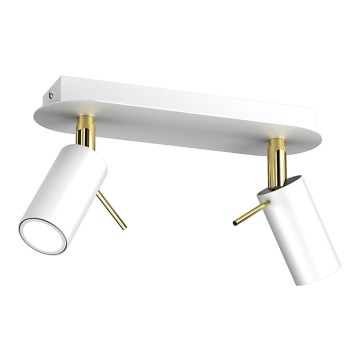 Spotlight  PRESTON 2xGU10/40W/230V vit /gyllene
