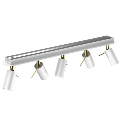 Spotlight  PRESTON 5xGU10/40W/230V vit /gyllene