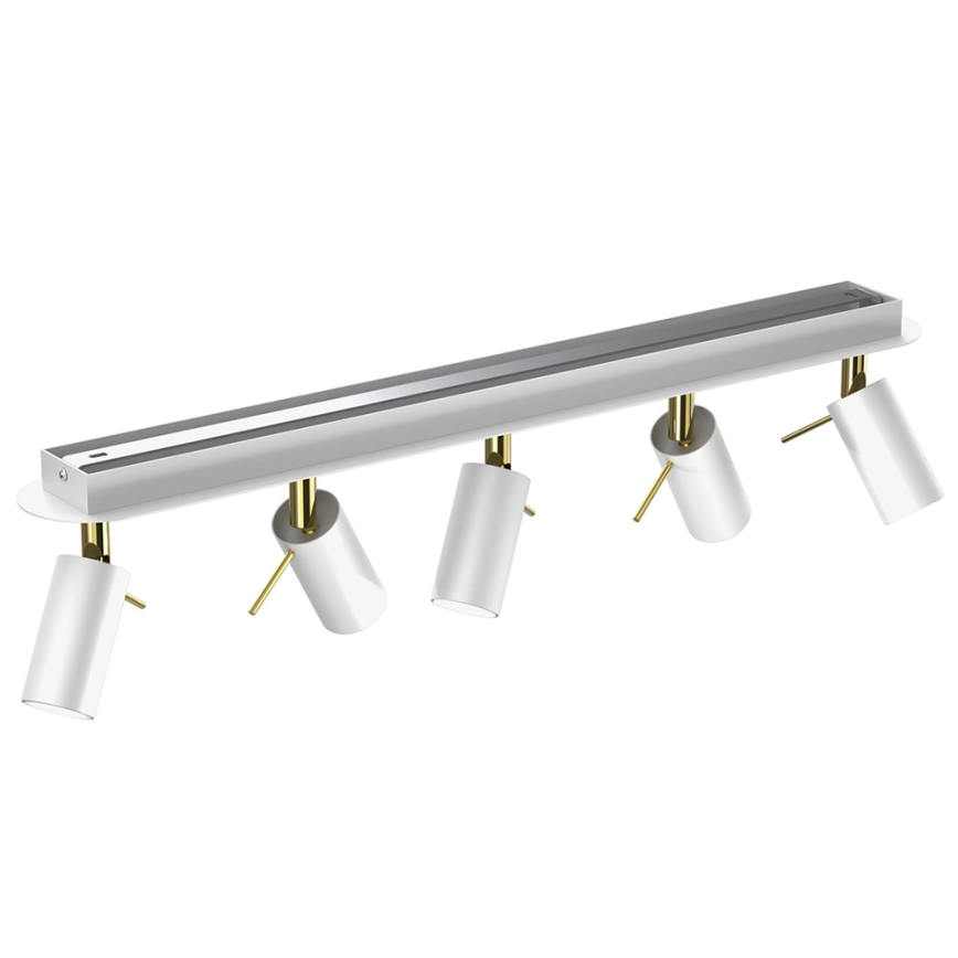 Spotlight  PRESTON 5xGU10/40W/230V vit /gyllene