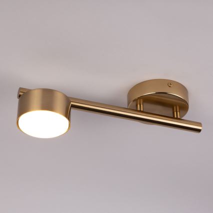 Spotlight PUNTO 1xGX53/12W/230V guld