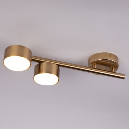 Spotlight PUNTO 2xGX53/12W/230V guld