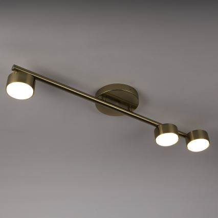 Spotlight PUNTO 3xGX53/12W/230V guld