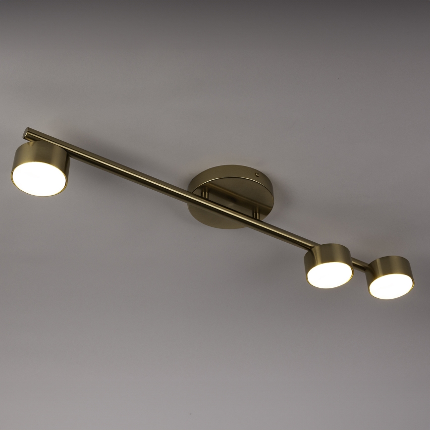 Spotlight PUNTO 3xGX53/12W/230V guld