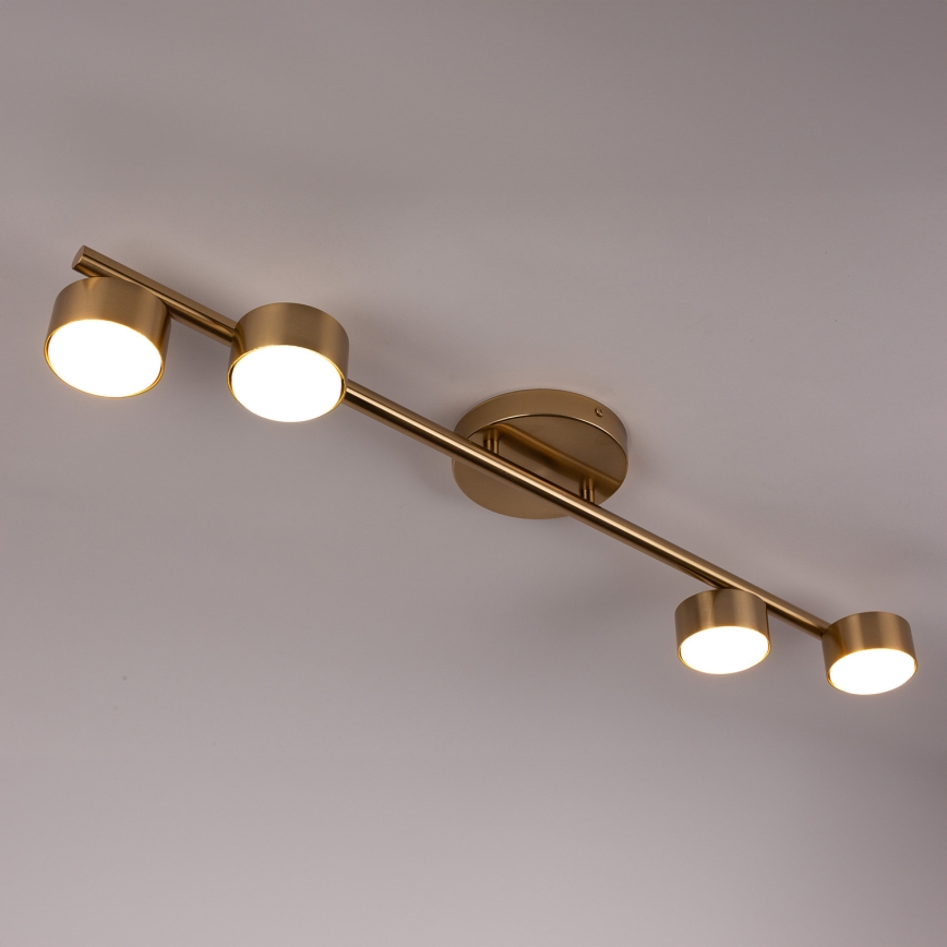 Spotlight PUNTO 4xGX53/12W/230V guld