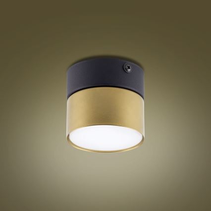 Spotlight  SPACE GOLD 1xGX53/15W/230V