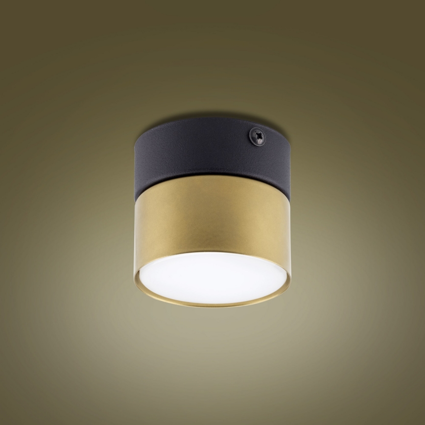 Spotlight  SPACE GOLD 1xGX53/15W/230V