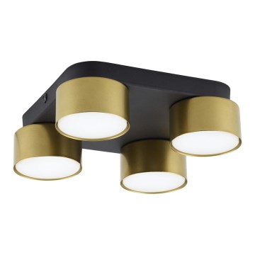 Spotlight  SPACE GOLD 4xGX53/15W/230V