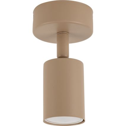Spotlight TOP 1xGU10/10W/230V beige