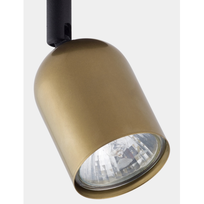 Spotlight  TOP 1xGU10/10W/230V gyllene /svart 