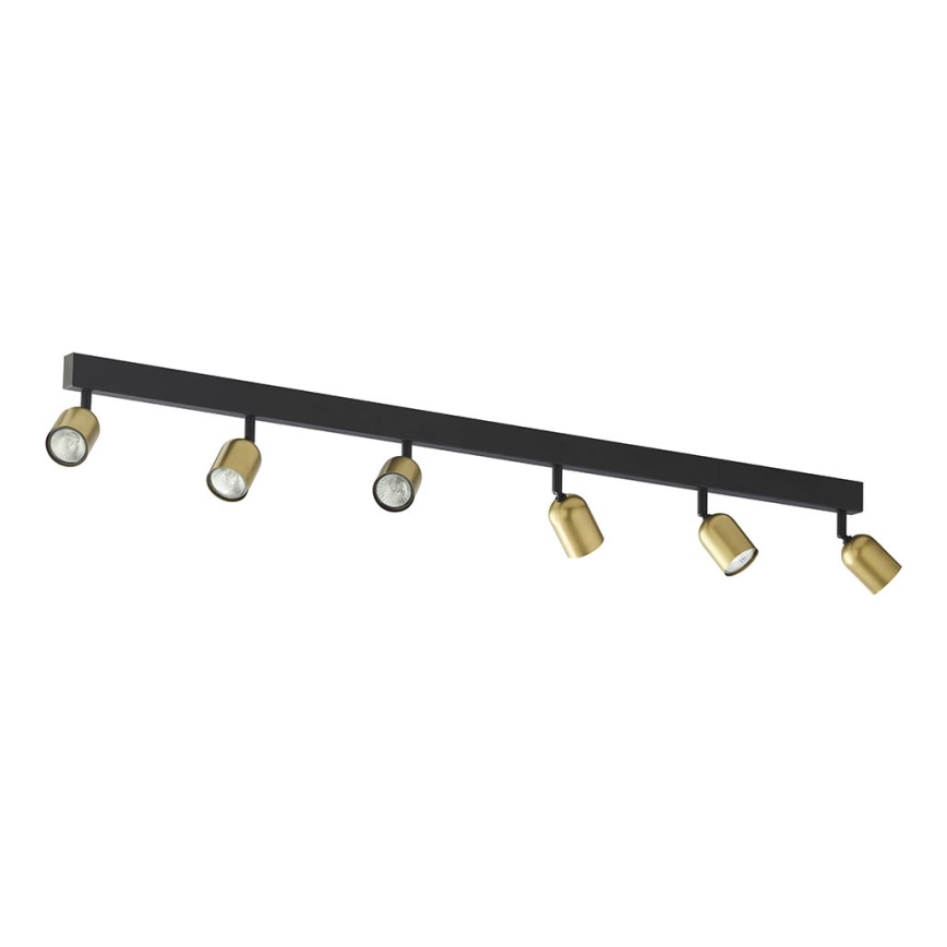 Spotlight  TOP 6xGU10/10W/230V gyllene /svart 