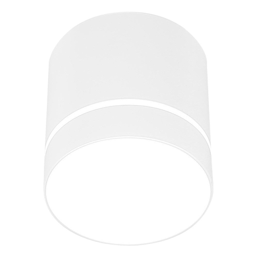 Spotlight TUBA 1xGU10/15W/230V vit