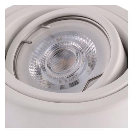 Spotlight TUBA 1xGU10/230V