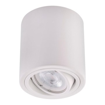 Spotlight TUBA 1xGU10/230V