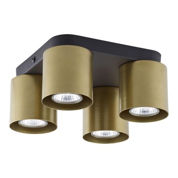 Spotlight  VICO GOLD 4xGU10/10W/230V