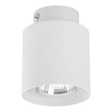 Spotlight  VICO WHITE 1xGU10/10W/230V