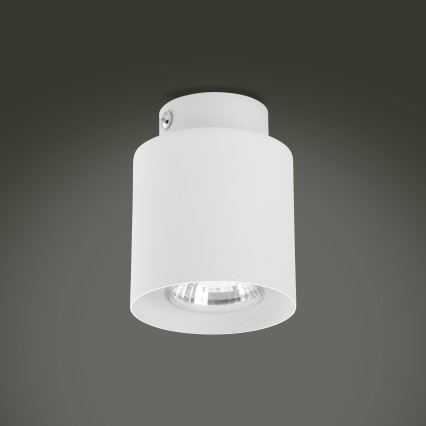 Spotlight  VICO WHITE 1xGU10/10W/230V