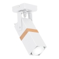 Spotlight VIDAR 1xGU10/25W/230V vit
