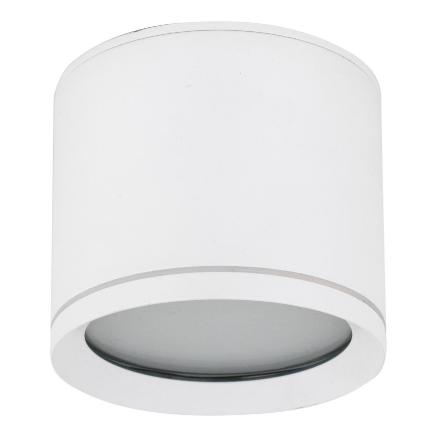 Spotlight VIVO 1xGX53/10W/230V 10 cm vit
