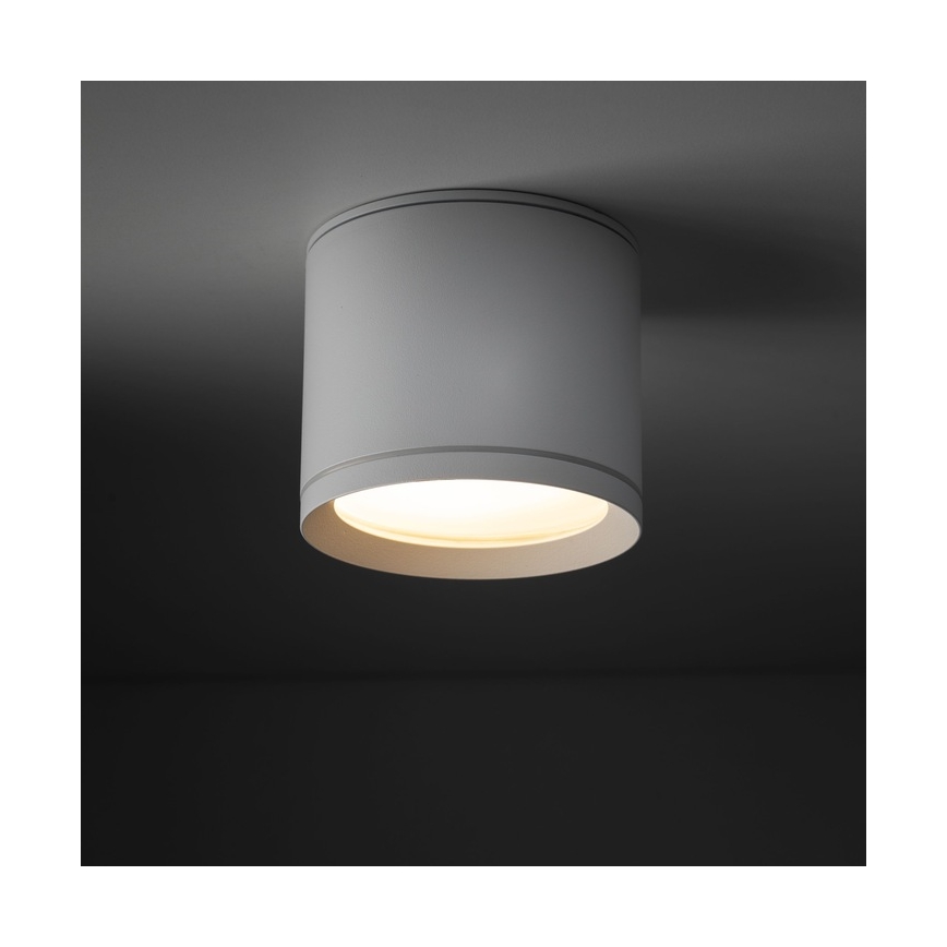 Spotlight VIVO 1xGX53/10W/230V 10 cm vit