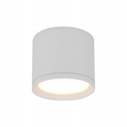 Spotlight VIVO 1xGX53/10W/230V 10 cm vit
