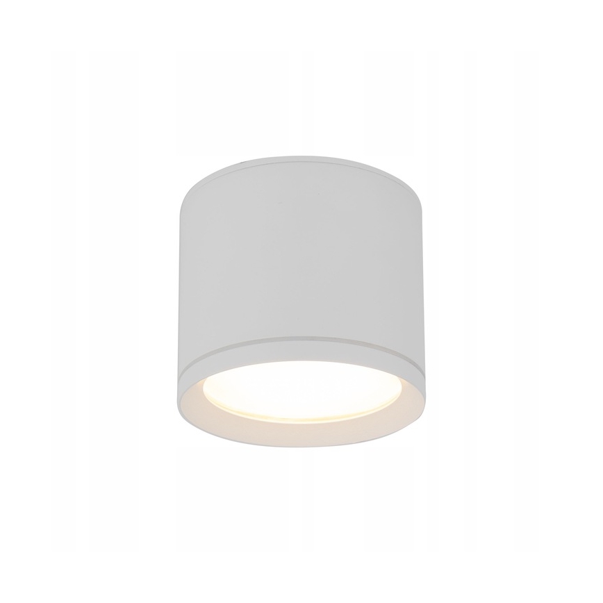 Spotlight VIVO 1xGX53/10W/230V 10 cm vit