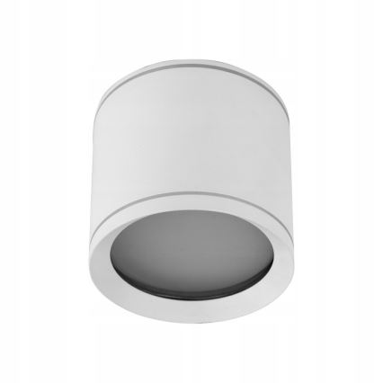 Spotlight VIVO 1xGX53/10W/230V 10 cm vit