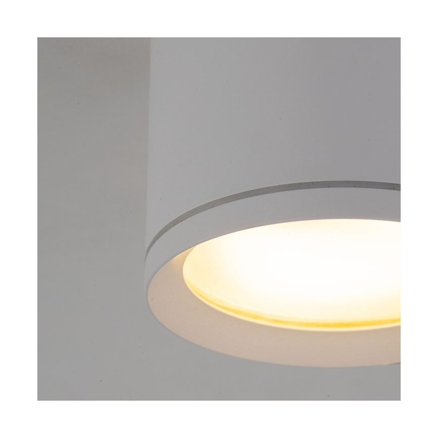 Spotlight VIVO 1xGX53/10W/230V 10 cm vit