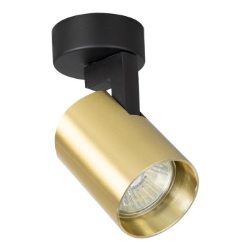 Spotlight VOLF 1xGU10/10W/230V guld/svart